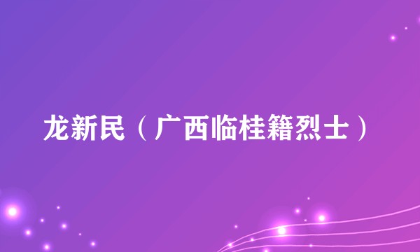 龙新民（广西临桂籍烈士）