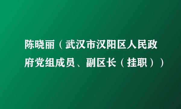 陈晓丽（武汉市汉阳区人民政府党组成员、副区长（挂职））