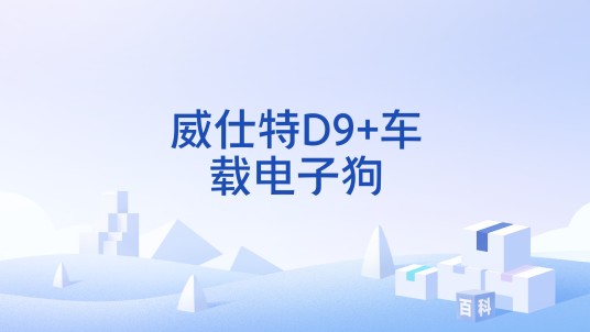 威仕特D9+车载电子狗