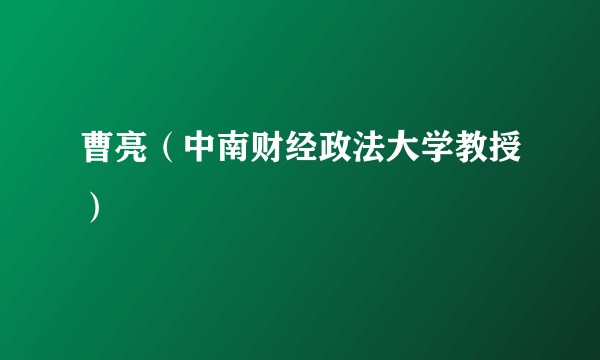 曹亮（中南财经政法大学教授）