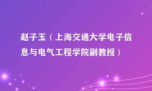 赵子玉（上海交通大学电子信息与电气工程学院副教授）