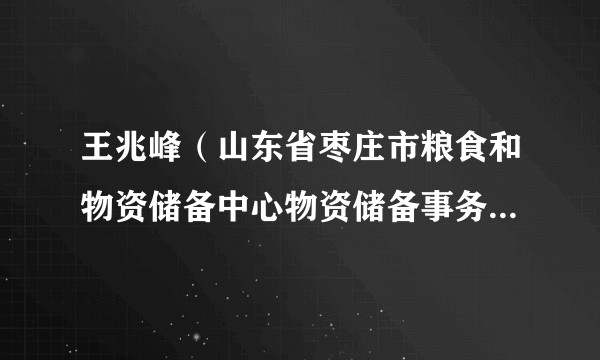 王兆峰（山东省枣庄市粮食和物资储备中心物资储备事务科副科长）
