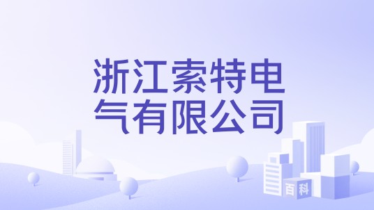 浙江索特电气有限公司