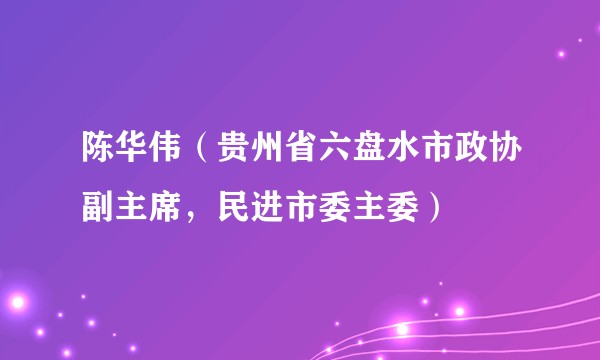 陈华伟（贵州省六盘水市政协副主席，民进市委主委）