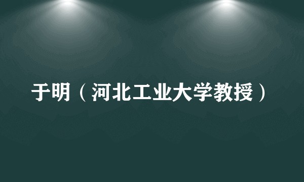 于明（河北工业大学教授）