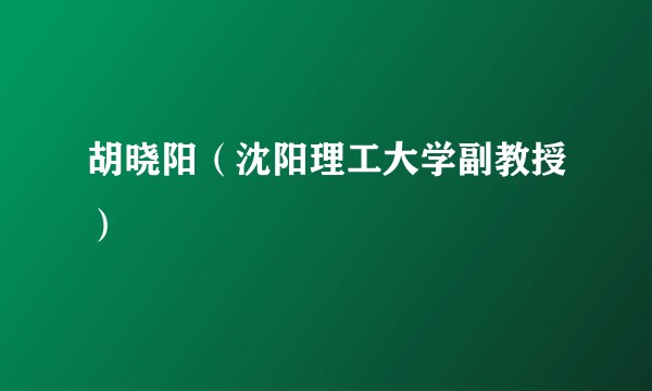 胡晓阳（沈阳理工大学副教授）