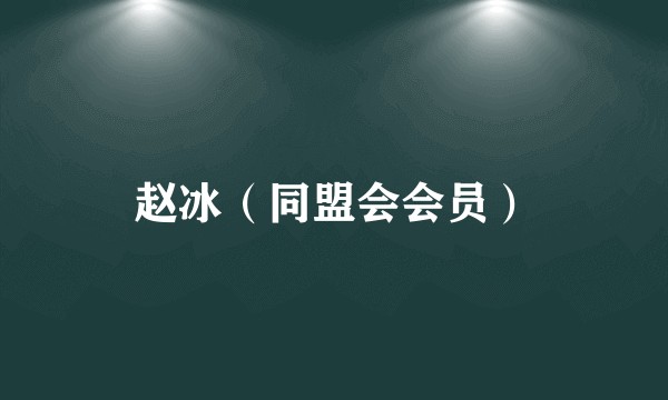 赵冰(同盟会会员)