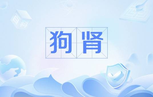 狗肾（黄狗的阴茎和睾丸制成的中药材）