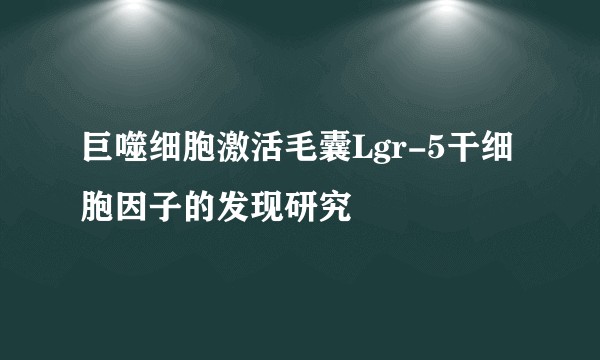 巨噬细胞激活毛囊Lgr-5干细胞因子的发现研究