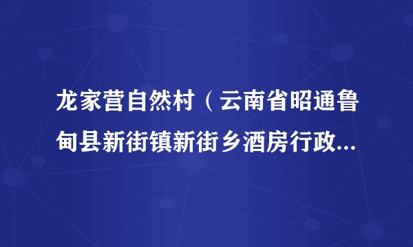 龙家营自然村(云南省昭通鲁甸县新街镇新街乡酒房行政村辖自然村)