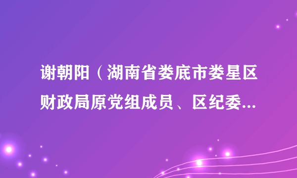 谢朝阳(湖南省娄底市娄星区财政局原党组成员、区纪委监委派驻区财政局纪检监察组组长)