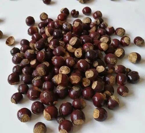 龙眼核（中药）