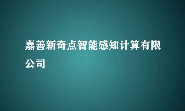 嘉善新奇点智能感知计算有限公司