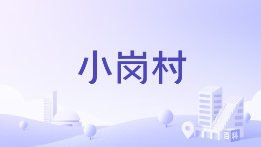 小岗村（辽宁省东港市北井子镇下辖村）