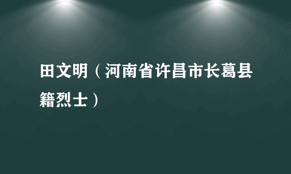 田文明(河南省许昌市长葛县籍烈士)
