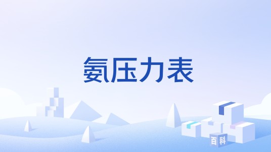 氨压力表
