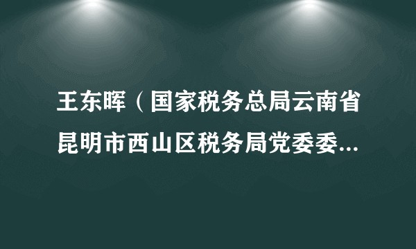 王东晖(国家税务总局云南省昆明市西山区税务局党委委员、副局长)