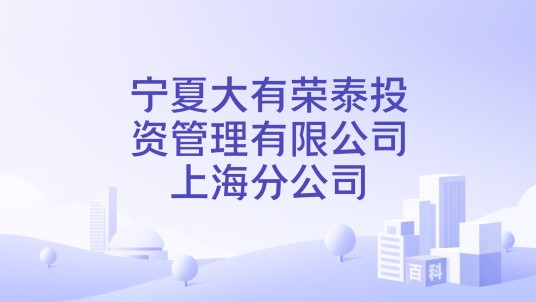 宁夏大有荣泰投资管理有限公司上海分公司