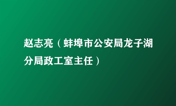 赵志亮(蚌埠市公安局龙子湖分局政工室主任)