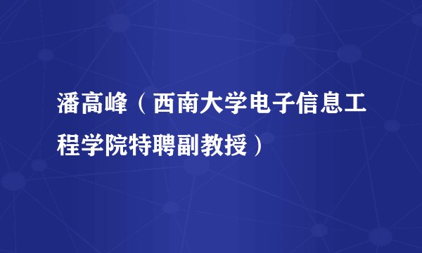 潘高峰（西南大学电子信息工程学院特聘副教授）