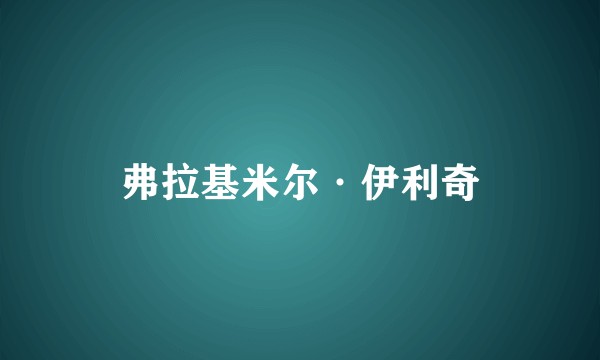 弗拉基米尔·伊利奇