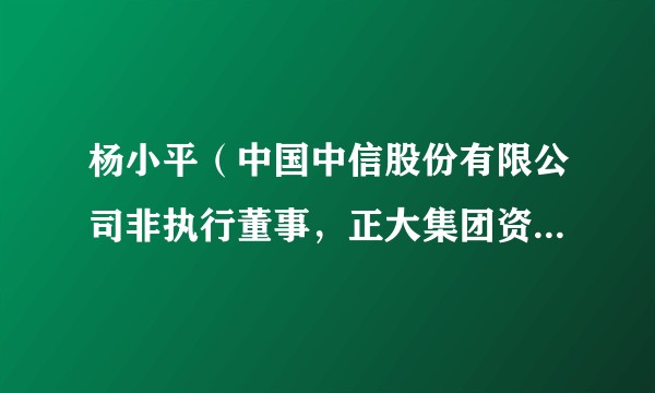 杨小平(中国中信股份有限公司非执行董事,正大集团资深副董事长)