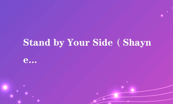 Stand by Your Side（Shayne Ward演唱歌曲）