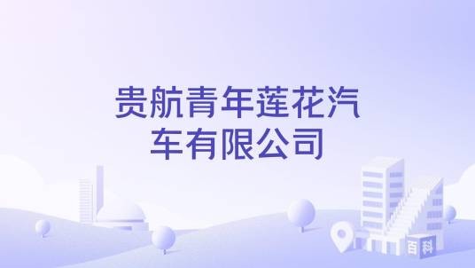 贵航青年莲花汽车有限公司