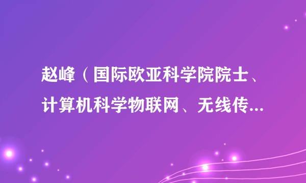 赵峰(国际欧亚科学院院士、计算机科学物联网、无线传感器网络专家、清华大学智能产业研究院首席科学家)