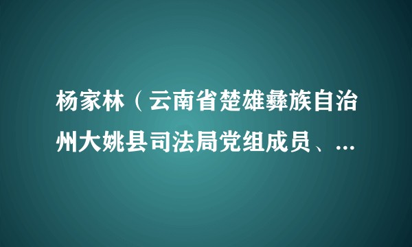 杨家林（云南省楚雄彝族自治州大姚县司法局党组成员、副局长）