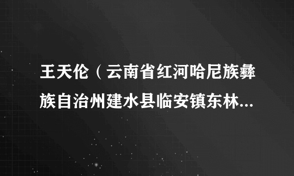 王天伦（云南省红河哈尼族彝族自治州建水县临安镇东林社区党总支书记）