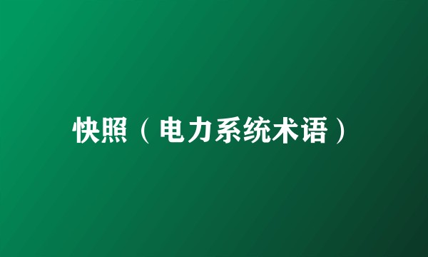 快照(电力系统术语)