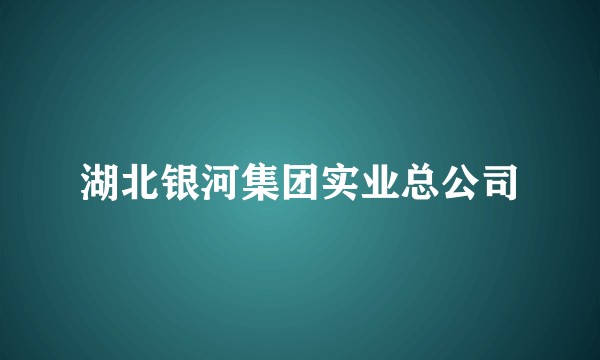 湖北银河集团实业总公司