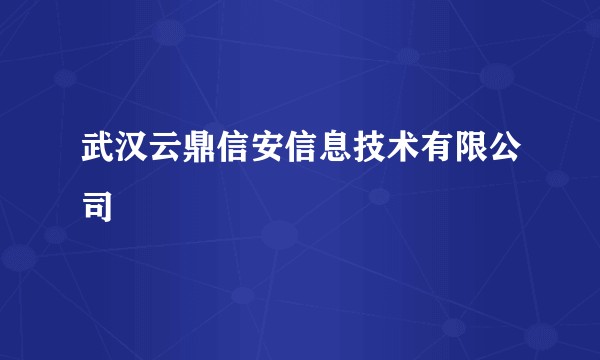 武汉云鼎信安信息技术有限公司