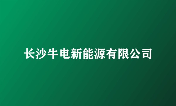 长沙牛电新能源有限公司