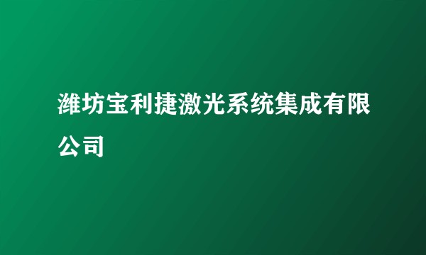 潍坊宝利捷激光系统集成有限公司