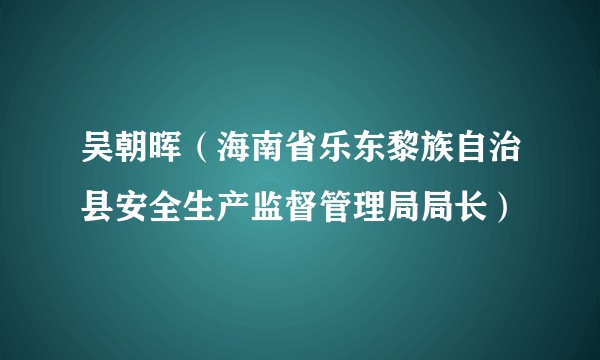 吴朝晖（海南省乐东黎族自治县安全生产监督管理局局长）