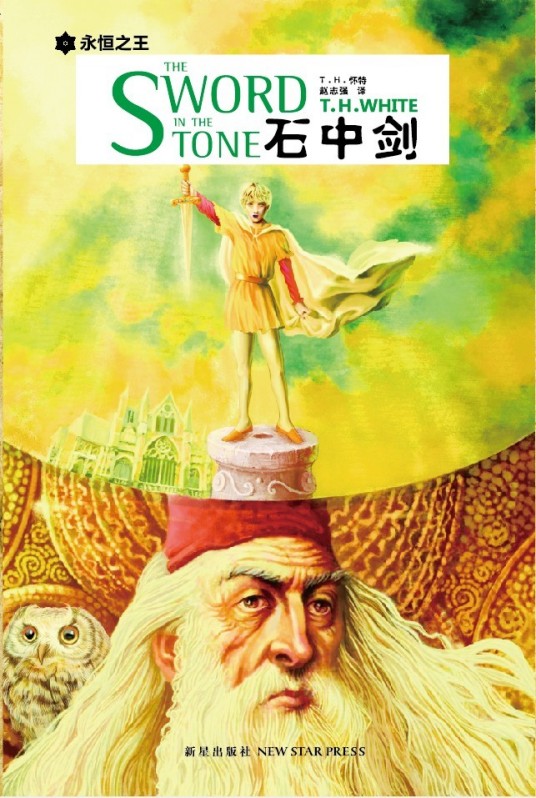 石中剑(2013年新星出版社出版的图书)