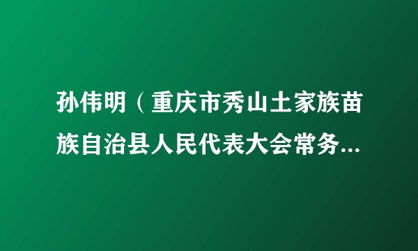 孙伟明（重庆市秀山土家族苗族自治县人民代表大会常务委员会委员）
