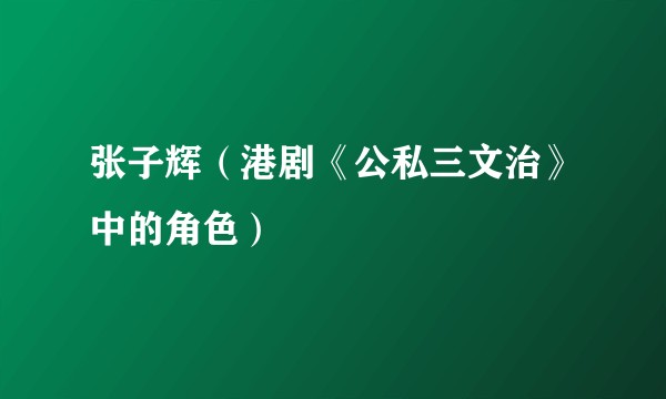张子辉（港剧《公私三文治》中的角色）