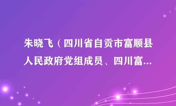 朱晓飞(四川省自贡市富顺县人民政府党组成员、四川富顺晨光经济开发区党工委书记)