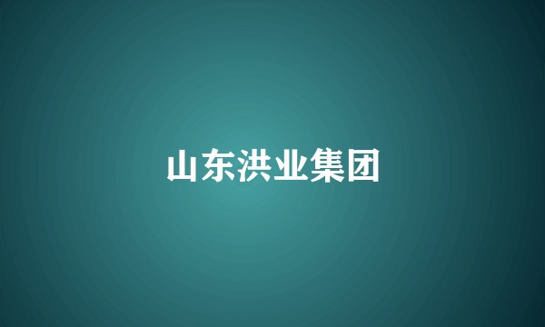 山东洪业集团