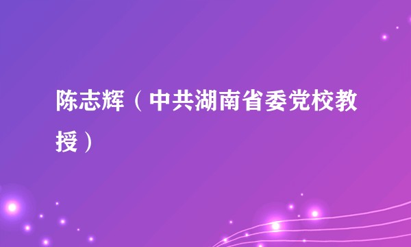 陈志辉（中共湖南省委党校教授）