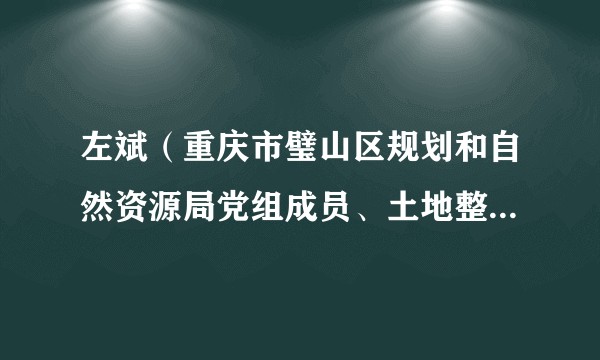 左斌（重庆市璧山区规划和自然资源局党组成员、土地整治储备中心主任）