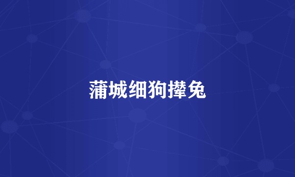 蒲城细狗撵兔