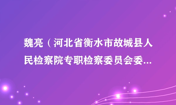 魏亮（河北省衡水市故城县人民检察院专职检察委员会委员，一级检察官）