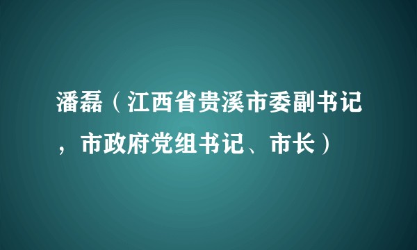 潘磊（江西省贵溪市委副书记，市政府党组书记、市长）