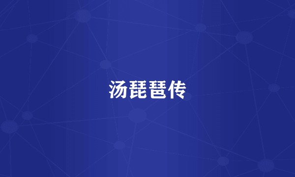 汤琵琶传