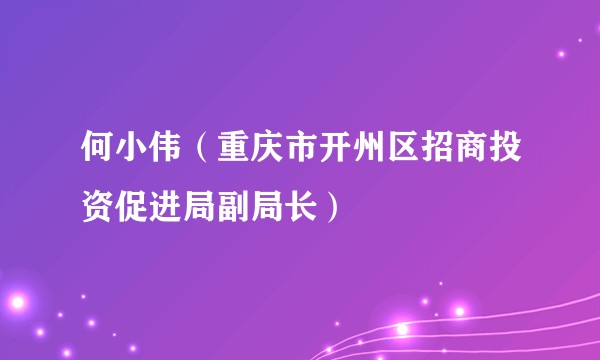 何小伟（重庆市开州区招商投资促进局副局长）