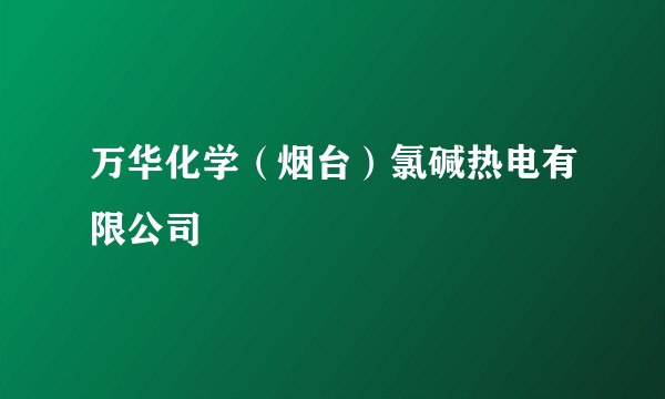 万华化学（烟台）氯碱热电有限公司